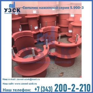 Сальники нажимные серия 5.900-3 в Ессентуках